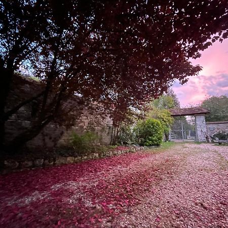 Evergreen Guesthouse ヴェルノン エクステリア 写真