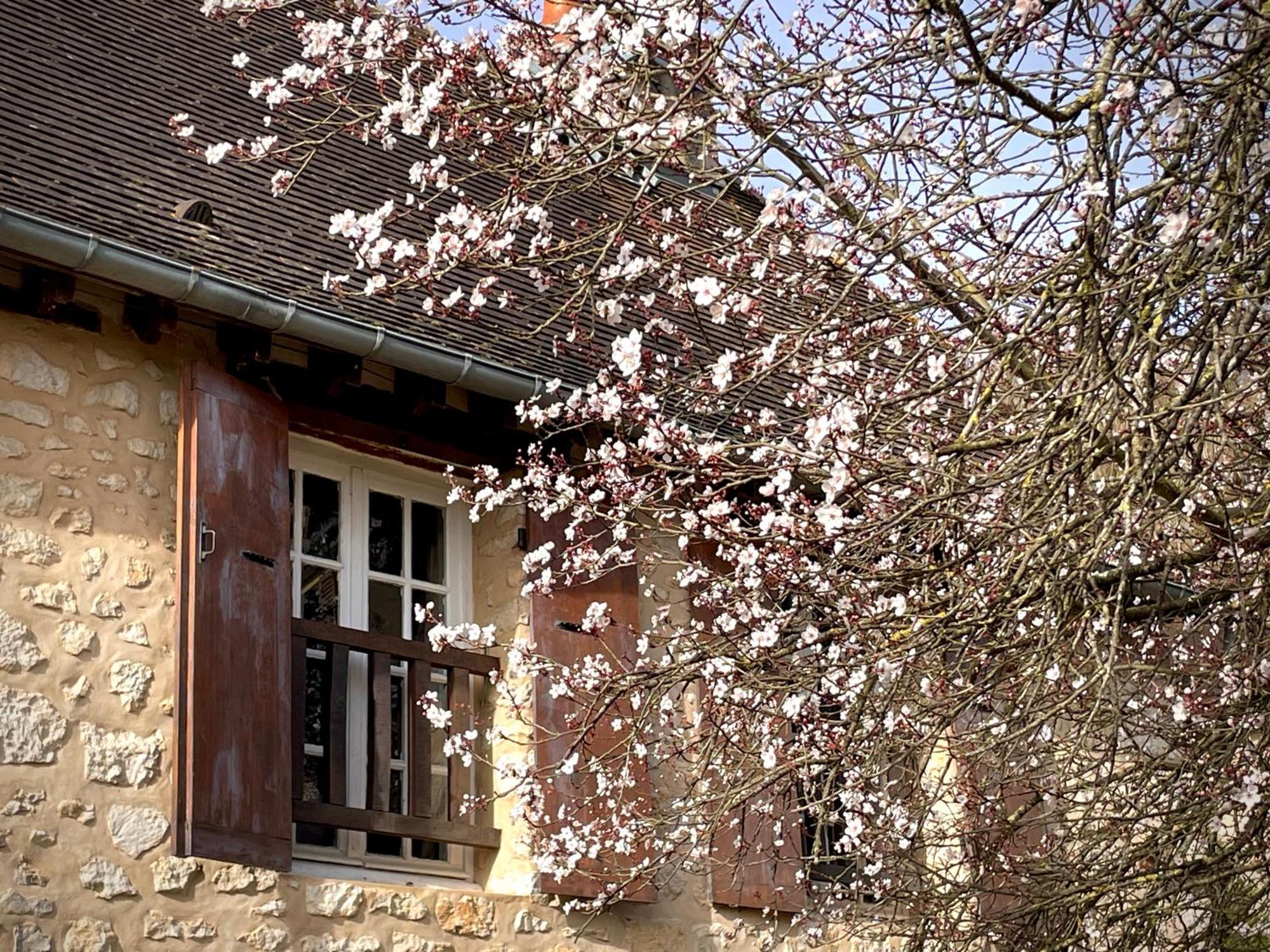 Evergreen Guesthouse ヴェルノン エクステリア 写真