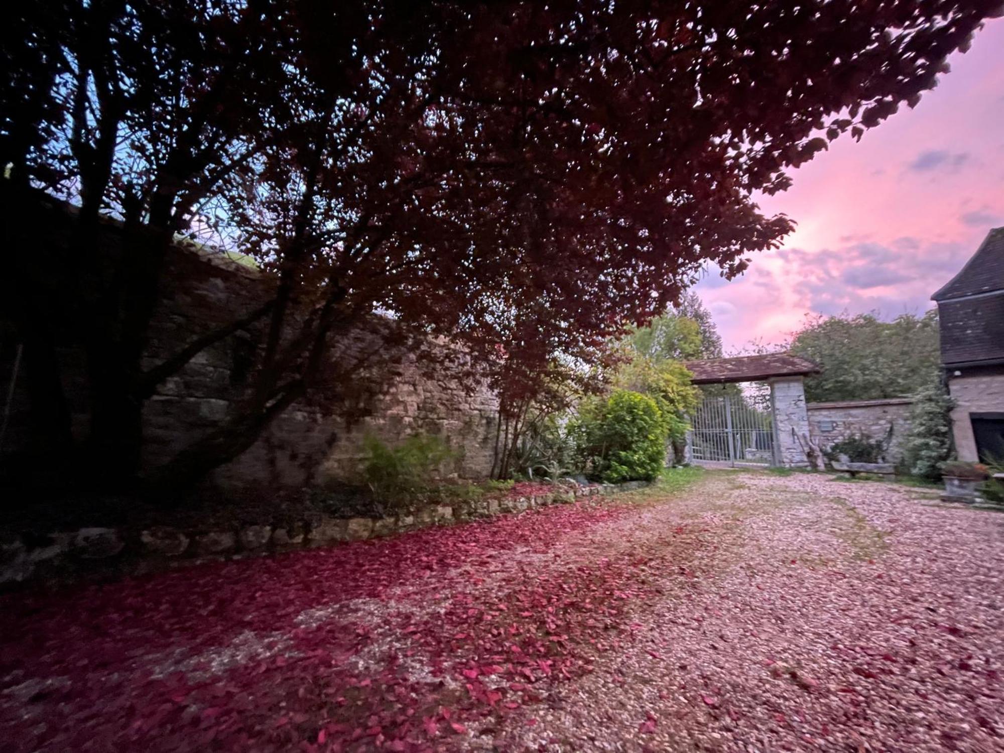 Evergreen Guesthouse ヴェルノン エクステリア 写真